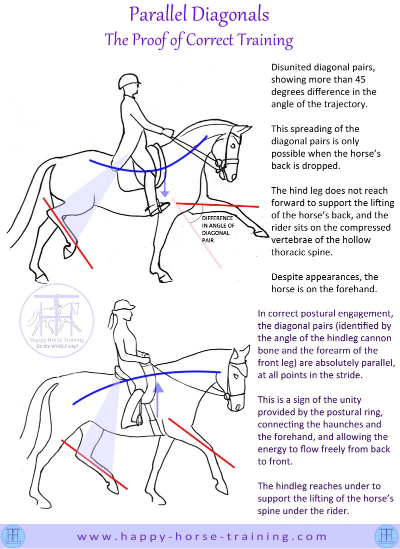 800xNxdressage_diagrams_diagonals.jpg.pagespeed.ic.ZdSHzaHw7a.jpg