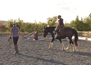 First ridden work on the lunge maintaing the continuity of training