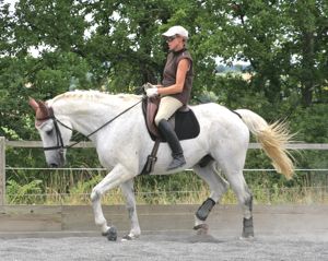 stiff horse rehabilitation