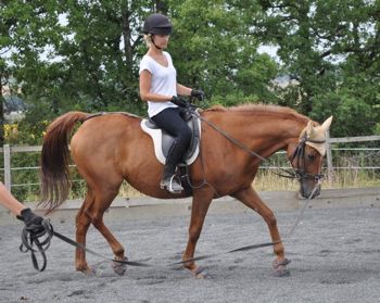 rider on the lunge