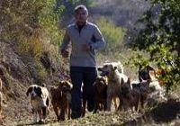 Cesar Millan's innate understanding of dog behavior