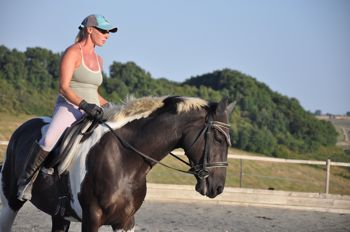 training horses dressage